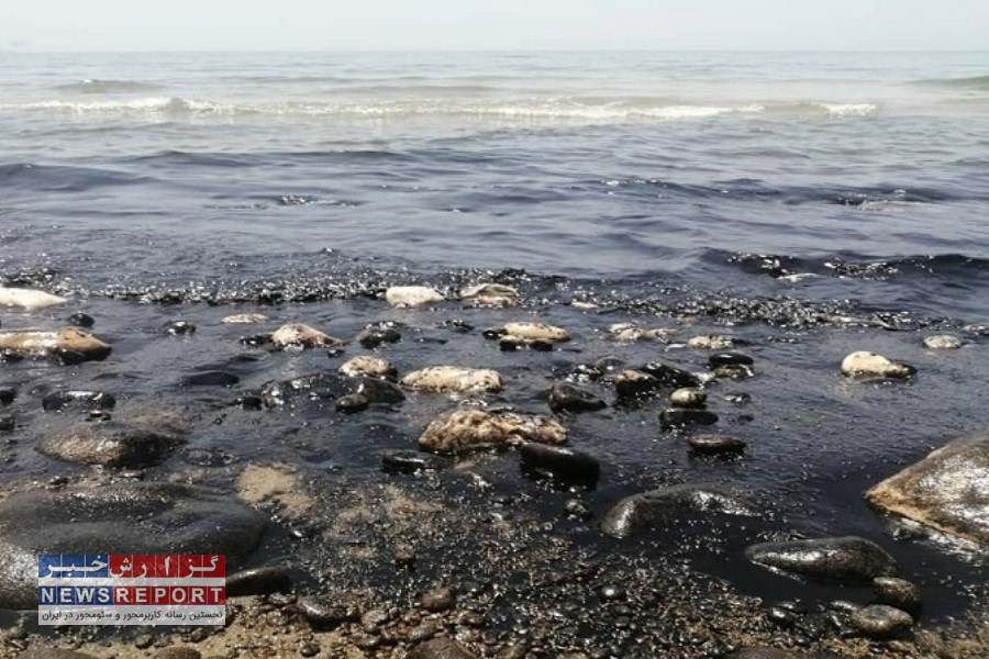 خلیج فارس در معرض آلودگی های مکرر نفتی / محیط زیست دریایی حفظ شود