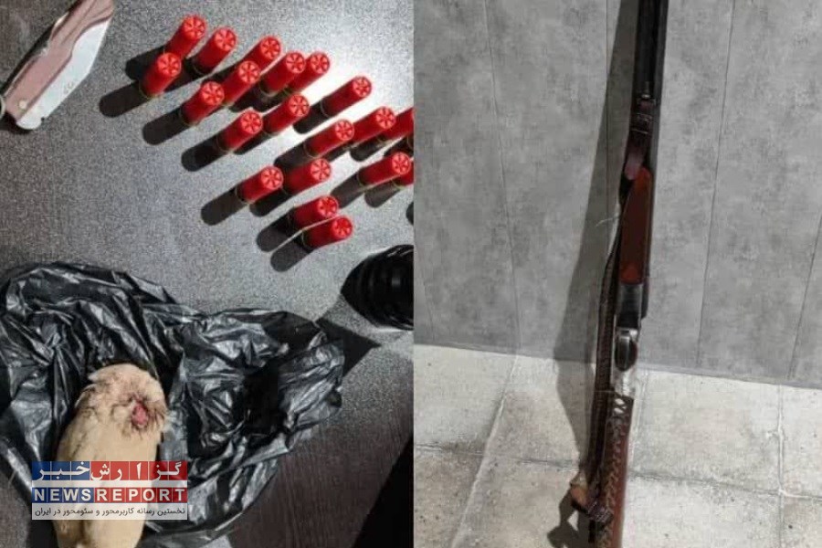 شکارچی متخلف در شهرستان فسا به‌همراه سلاح و مهمات دستگیر شد