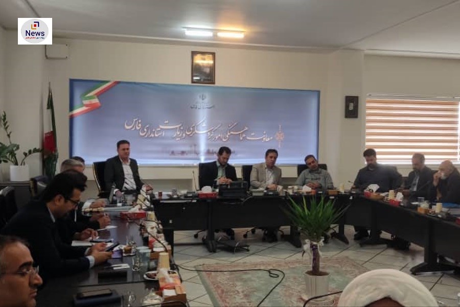 تلاش‌های فشرده برای سازماندهی و بهسازی وضعیت بازار وکیل شیراز