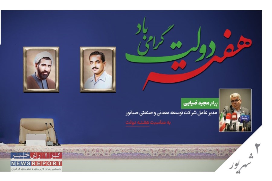 تأکید مدیرعامل صبانور بر هم‌افزایی دولت و بخش خصوصی در هفته دولت