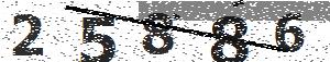 تصویر امنیتی