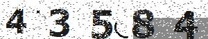 تصویر امنیتی