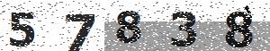 تصویر امنیتی